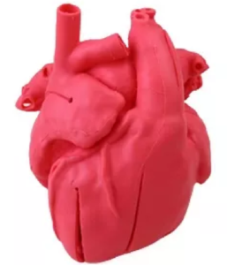 Zewnętrzny widok realistycznego modelu anatomicznego wydrukowanego w 3D do planowania operacji