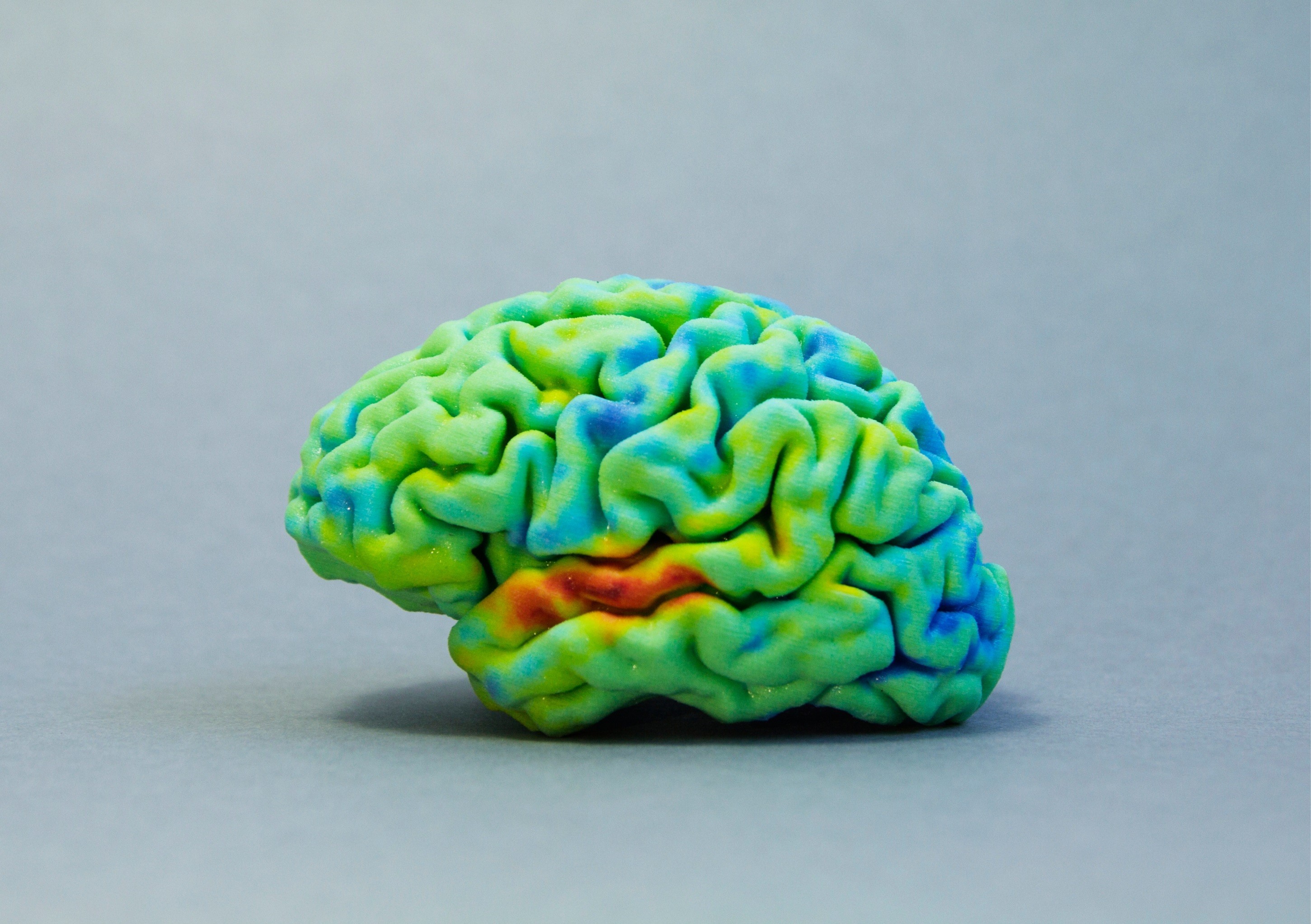 Green brain. ПЛАСТИЛИНОВЫЙ мозг. Маркет человечиского мозго.